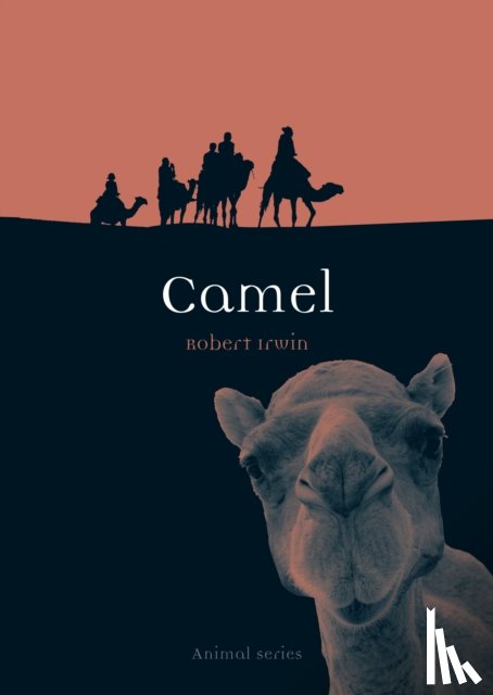 Irwin, Robert - Camel