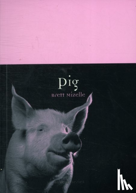 Mizelle, Brett - Pig