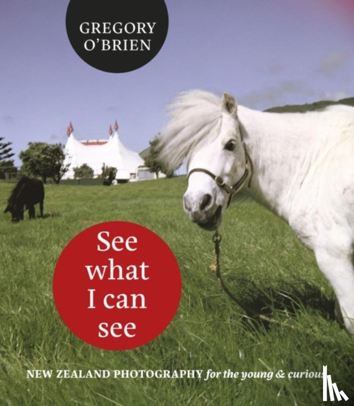 O'Brien Gregory - See What I can See
