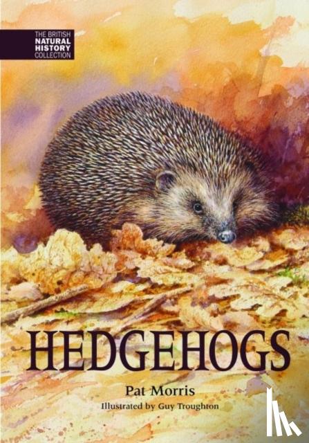 Pat Morris - Hedgehogs