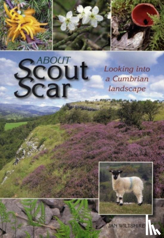 Wiltshire, Jan - About Scout Scar