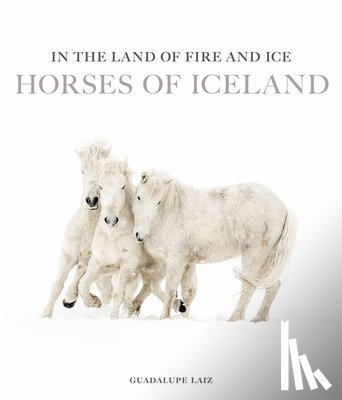 Laiz, Guadalupe - In the Land of Fire and Ice