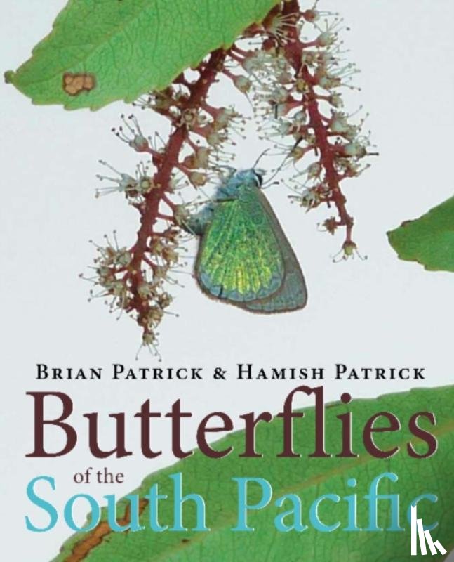Patrick, Brian - Butterflies of the South Pacific