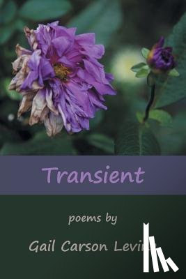 Levine, Gail Carson - Transient