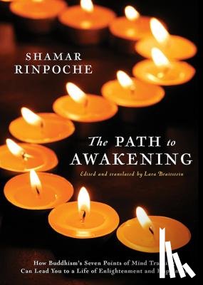 Rinpoche, Shamar, Braitstein, Lara (trans.) - The Path To Awakening