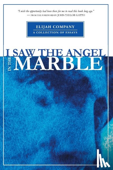 Davis, Chris, Davis, Ellyn - I Saw the Angel in the Marble
