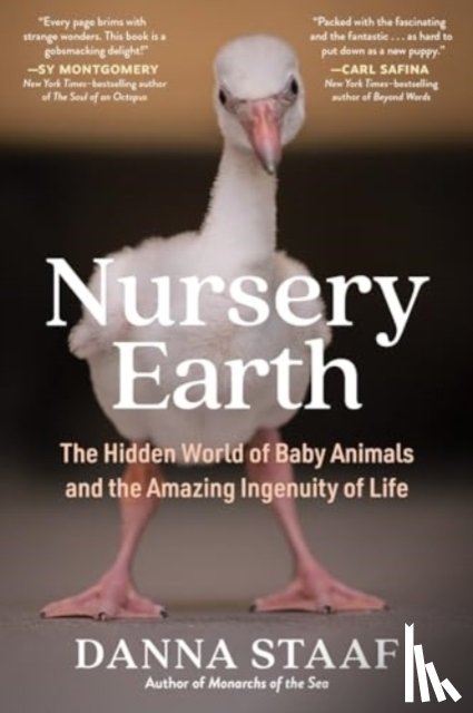 Staaf, Danna - Nursery Earth