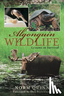 Quinn, Norm - Algonquin Wildlife