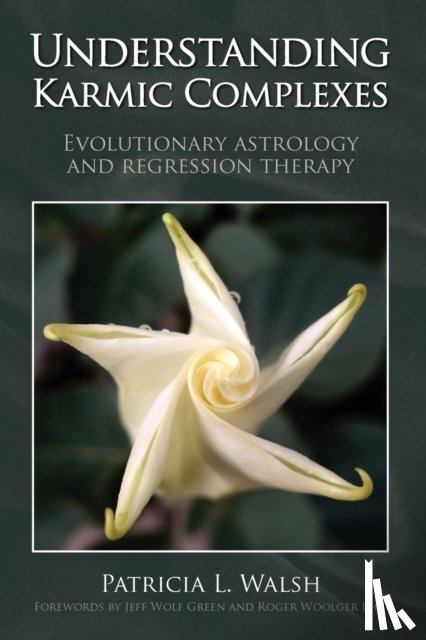 Walsh, Patricia L. - Understanding Karmic Complexes
