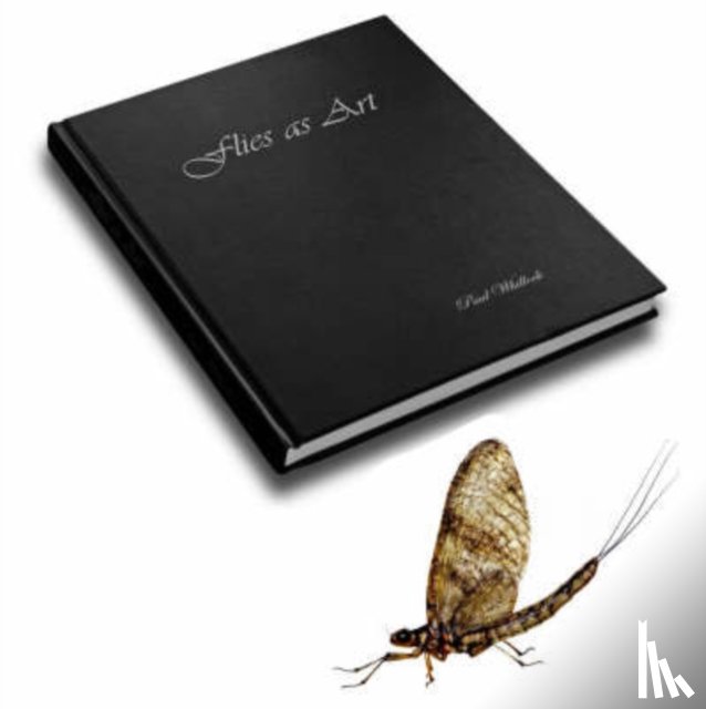 Whillock, Paul - Flies as Art