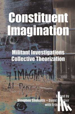 - Constituent Imagination