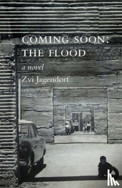 Jagendorf, Zvi - Coming Soon: The Flood