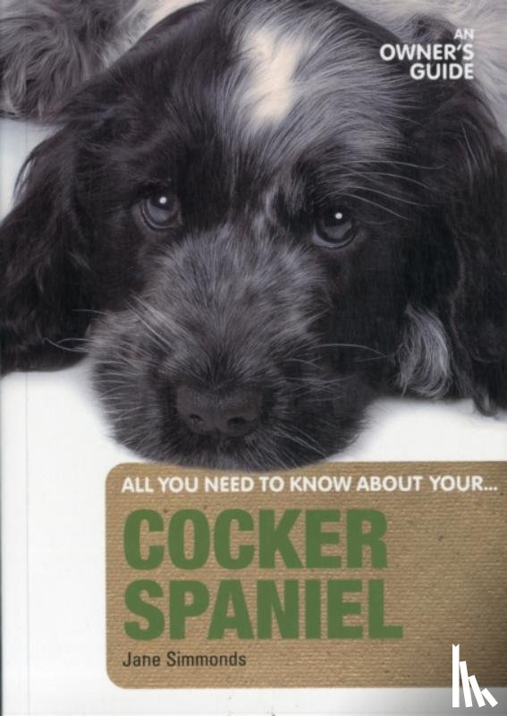 Simmonds, Jane - Cocker Spaniel