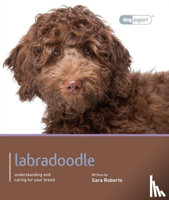 Rogers, Sarah - Labradoodle - Dog Expert