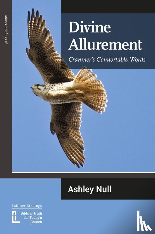 Null, Ashley J - Divine Allurement
