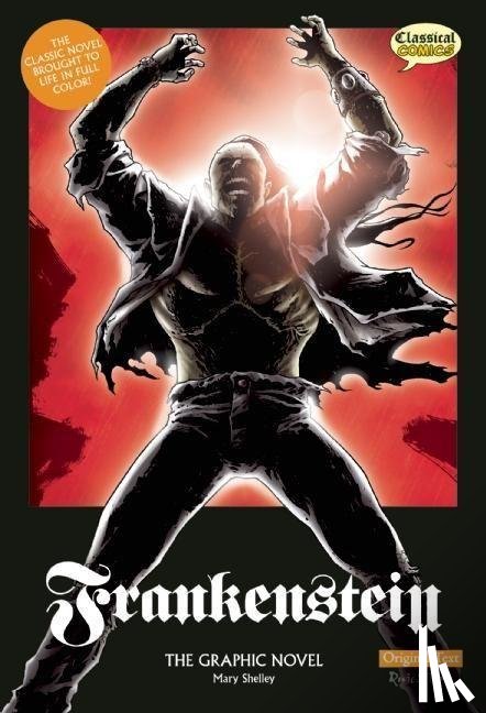 Shelley, Mary - FRANKENSTEIN THE GRAPHIC NOVEL