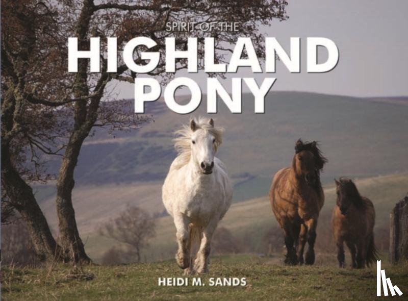 Sands, Heidi M. - Spirit of the Highland Pony
