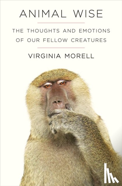 Morell, Virginia - Animal Wise
