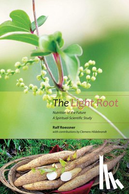 Roessner, Ralf, Hildebrandt, Clemens - The Light Root