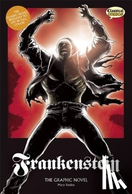 Shelley, Mary - Frankenstein the Graphic Novel: Original Text