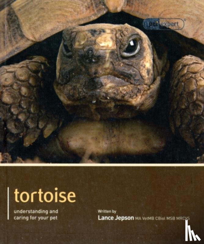 Jepson, Lance - Tortoise - Pet Expert