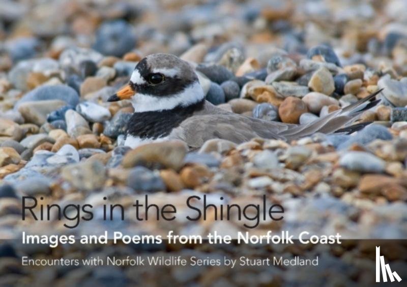 Medland, Stuart - Rings in the Shingle