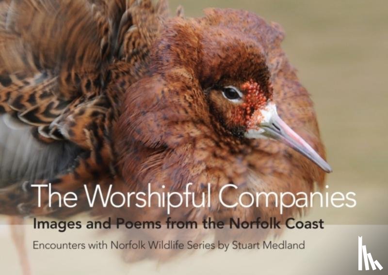 Medland, Stuart - The Worshipful Companies
