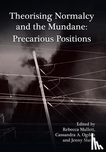  - Theorising Normalcy and the Mundane