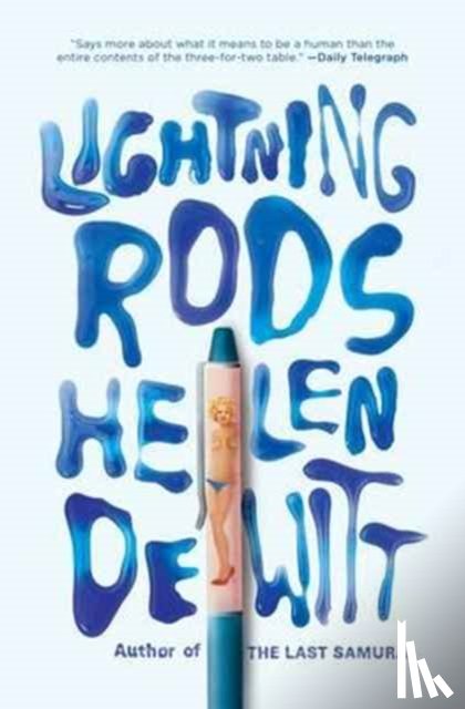 DeWitt, Helen - Lightning Rods