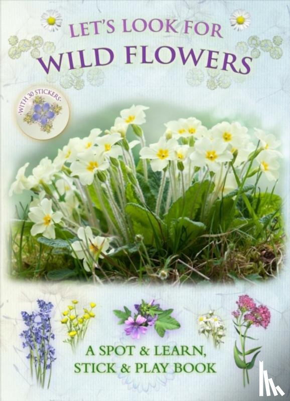 Buckingham, Caz, Pinnington, Andrea - Let's Look for Wild Flowers