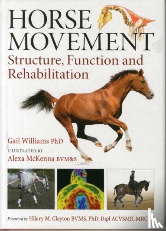 Williams, Gail - Horse Movement