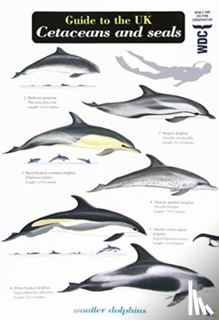 Simmonds, Mark Peter - Guide to the UK Cetaceans and Seals