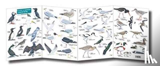 Farley-Brown, Rebecca - Guide to Summer Coastal Birds