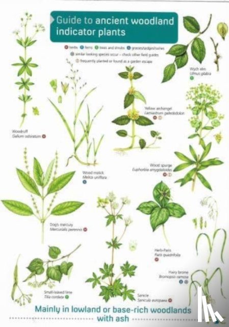  - Guide to Ancient Woodland Indicator Plants