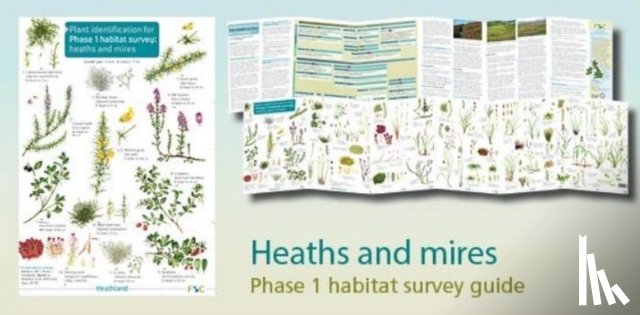 Wallace, Hilary, Duffell, Mark - Plant identification for Phase 1 habitat survey: heaths and meres