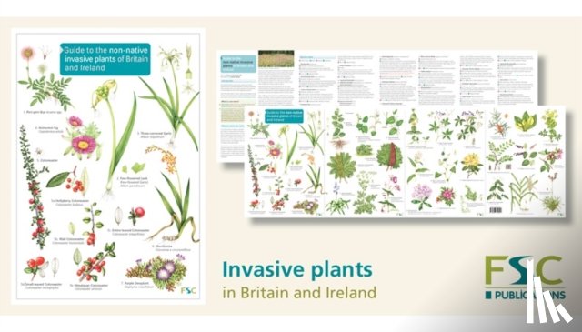 Farley-Brown, Rebecca - Guide to the non-native invasive plants of Britain and Ireland