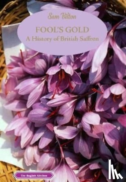 Bilton, Sam - Fool's Gold