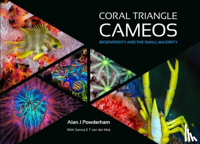 Powderham, Alan J - Coral Triangle Cameos
