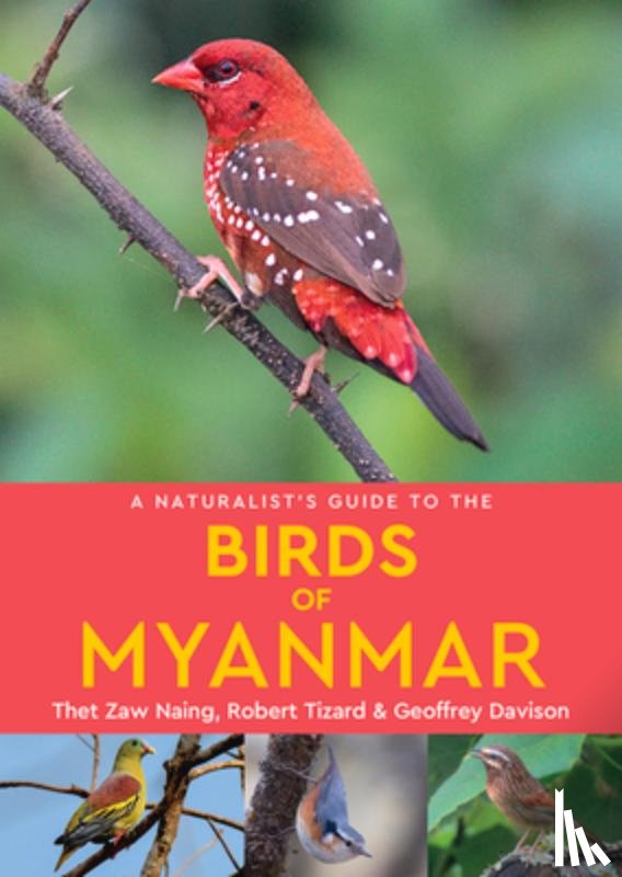 Tizard, Robert, Zaw Naing, Thet, Davison, Geoffrey - A Naturalist's Guide to the Birds of Myanmar