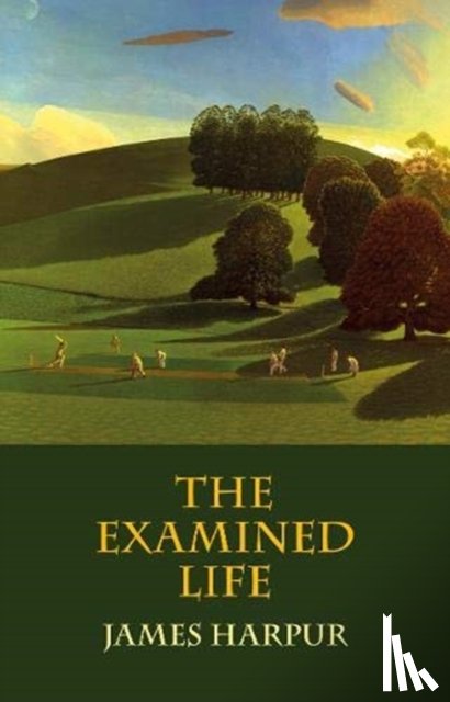 Harpur, James - The Examined Life