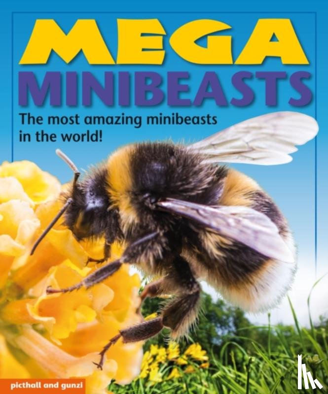 Filipek, Nina - Mega Minibeasts
