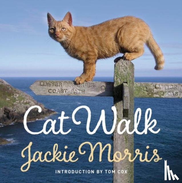 Morris, Jackie - Cat Walk