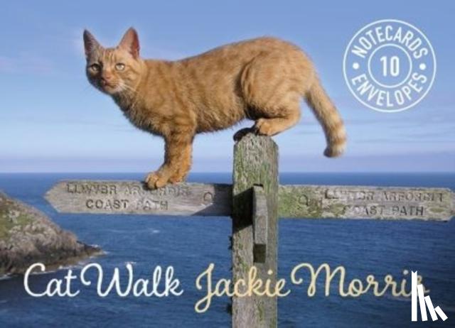 Morris, Jackie - Cat Walk Notecards