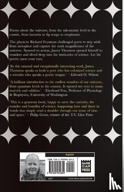 Thornton, James Kevin - The Feynman Challenge