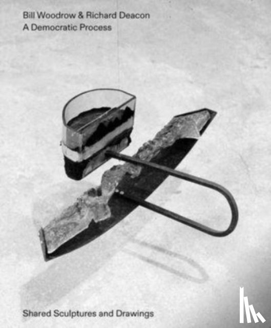 Woodrow, Bill, Deacon, Richard, Wood, Jon - Bill Woodrow & Richard Deacon - a Democratic Process: Shared Sculptures and Drawings