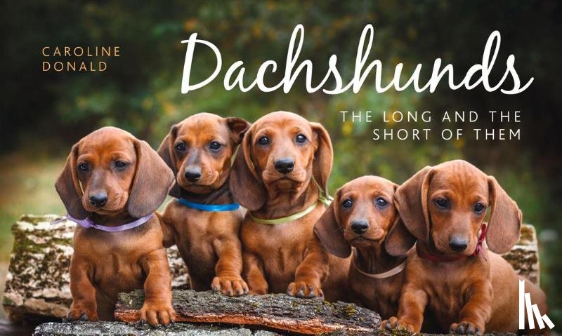 Donald, Caroline - Dachshunds
