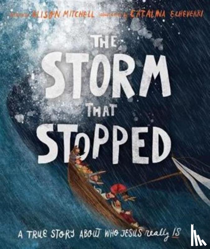 Mitchell, Alison - The Storm That Stopped Storybook