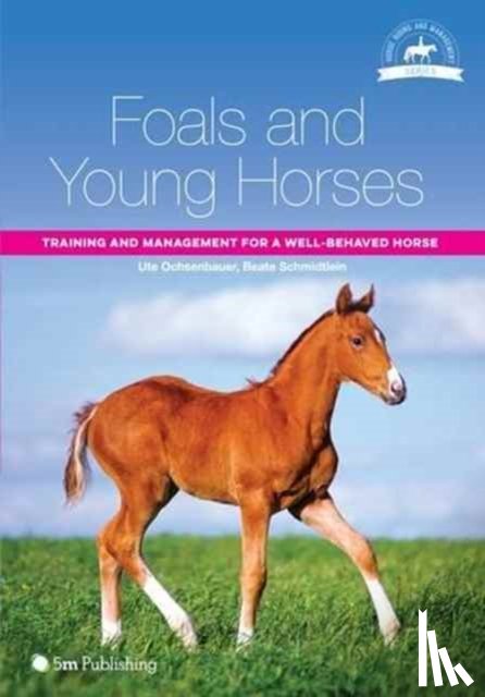 Ochsenbauer, Ute - Foals and Young Horses