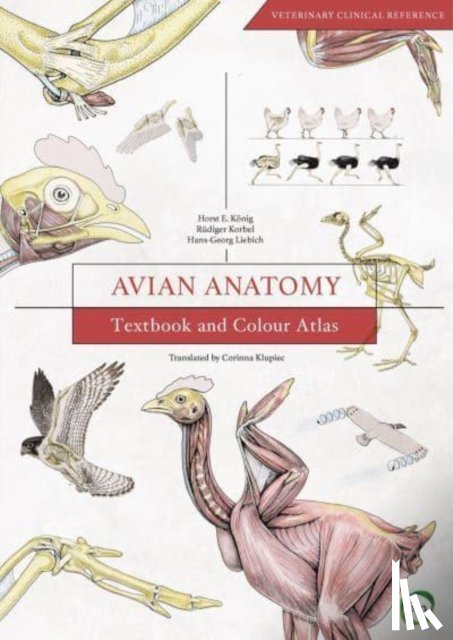Konig, Horst Erich - Avian Anatomy 2nd Edition: Textbook and Colour Atlas