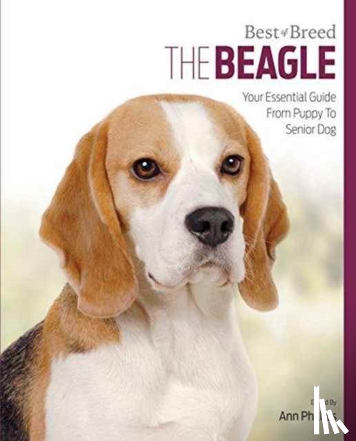 Phillips, Ann - Beagle